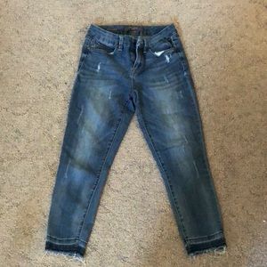 The Limited Ankle Skinny’s